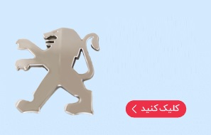 آرم 3